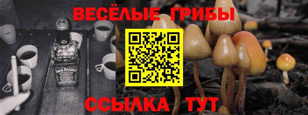 Тимашёвск  Галлюциногенные грибы GOLDEN TEACHER  Вход с VPN 